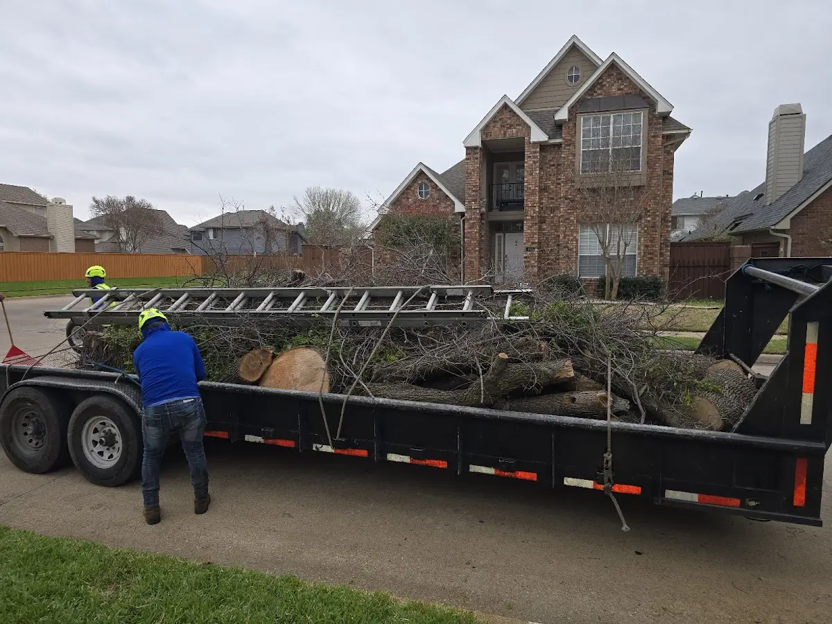 Expert Tree Fertilization with proper safety equipment in Plains